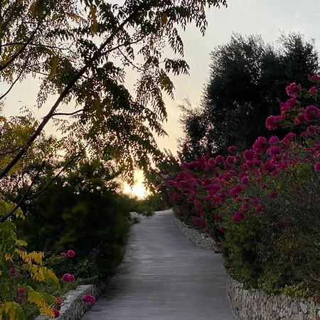 Villa Domina - Private & Tender Platform *