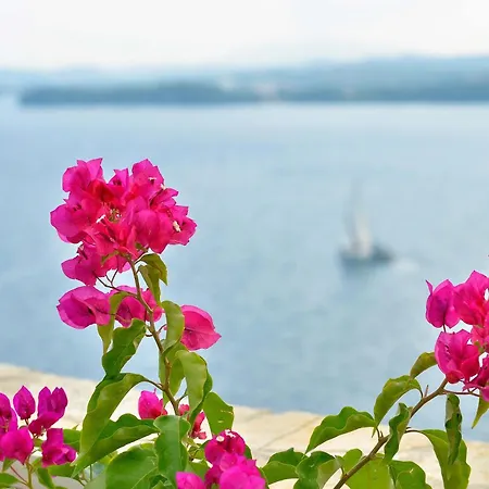 Domina - Private & Tender Platform 别墅