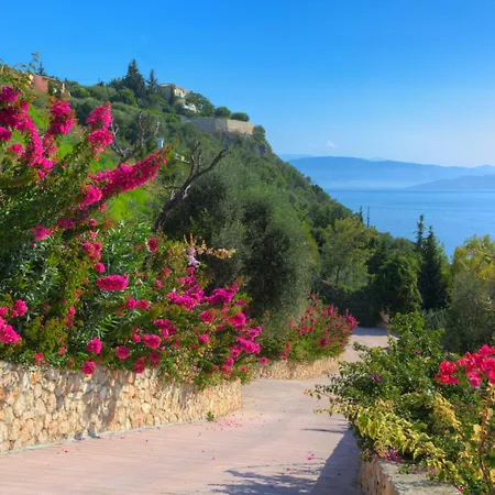 Domina - Private & Tender Platform 别墅 *